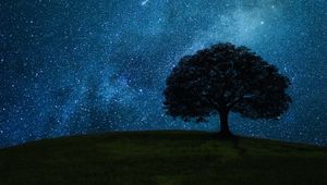 Превью обои дерево, холм, звездное небо, звезды, ночь, темный