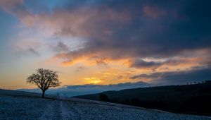 Превью обои дерево, холмы, небо, облака, природа