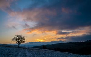 Превью обои дерево, холмы, небо, облака, природа