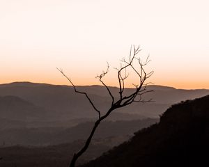 Превью обои дерево, холмы, закат, горизонт, силуэт