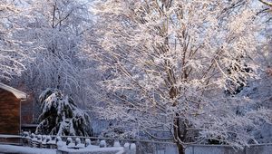 Превью обои дерево, иней, зима, калитка, свет, решетка, ограждение