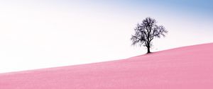 Превью обои дерево, качели, склон, фотошоп