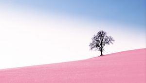 Превью обои дерево, качели, склон, фотошоп