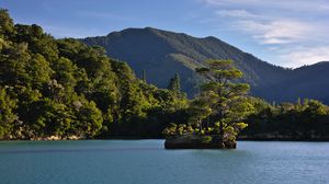 Превью обои дерево, камень, остров, горы, море