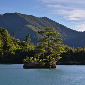 Превью обои дерево, камень, остров, горы, море