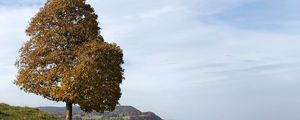 Превью обои дерево, камни, холмы, пейзаж