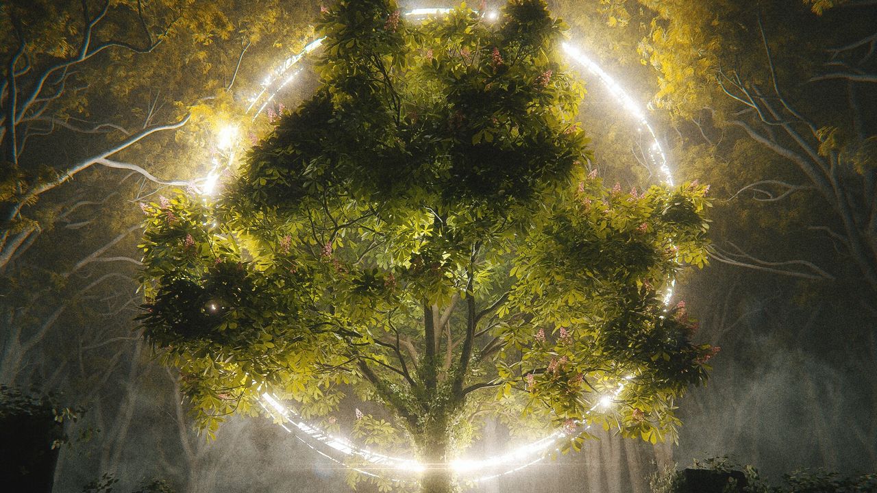 Обои дерево, круг, свечение, арт
