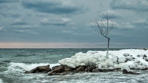 Превью обои дерево, лед, море, камни