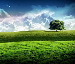Превью обои дерево, луг, небо, звезды, облака, трава, зелень