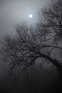 Превью обои дерево, луна, ночь, лунный свет, темный