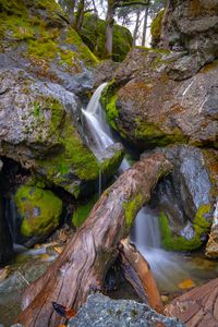 Превью обои дерево, мокрый, водопад, камни