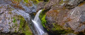 Превью обои дерево, мокрый, водопад, камни