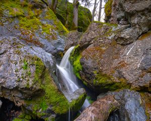 Превью обои дерево, мокрый, водопад, камни