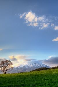 Превью обои дерево, небо, облака, луг