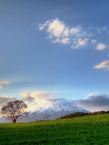 Превью обои дерево, небо, облака, луг