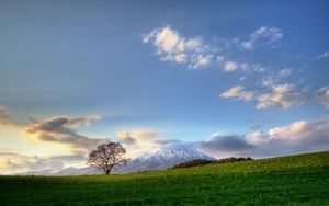 Превью обои дерево, небо, облака, луг