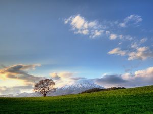 Превью обои дерево, небо, облака, луг