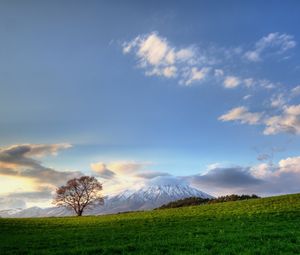 Превью обои дерево, небо, облака, луг