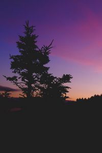 Превью обои дерево, ночь, небо