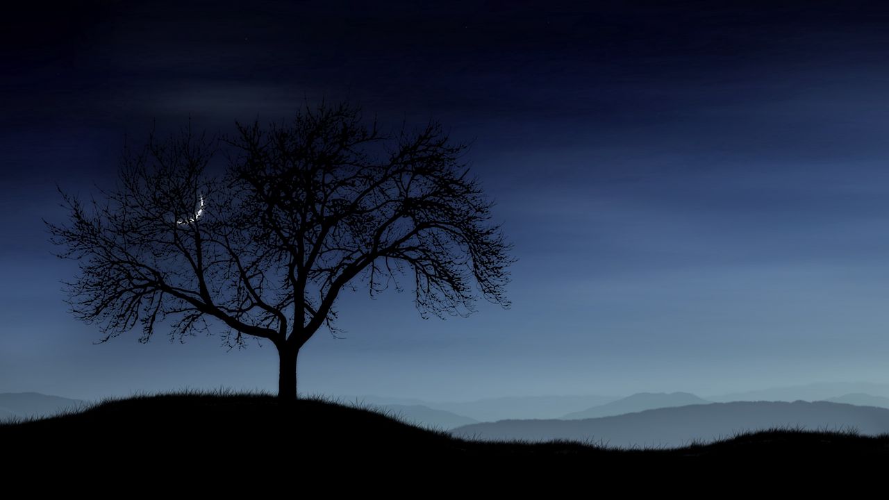 Обои дерево, ночь, одинокое, силуэт, звезды, луна, туман