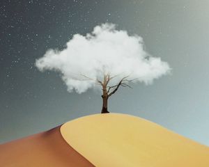Превью обои дерево, облако, пустыня, холм, песок