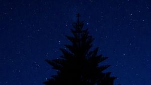 Превью обои дерево, очертание, звездное небо, ночь, верхушка
