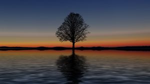 Превью обои дерево, одинокий, горизонт, отражение, закат, минимализм