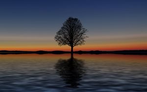 Превью обои дерево, одинокий, горизонт, отражение, закат, минимализм