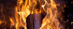 Превью обои дерево, огонь, пламя, темный