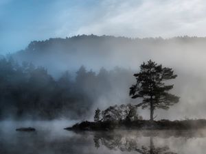 Превью обои дерево, островок, водоем, туман, таинственные