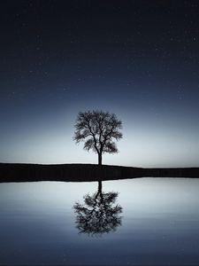 Превью обои дерево, отражение, вода, ночь