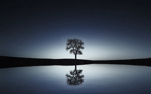 Превью обои дерево, отражение, вода, ночь
