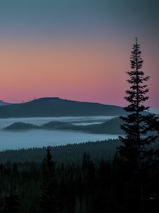 Превью обои дерево, озеро, холмы, силуэты, ночь