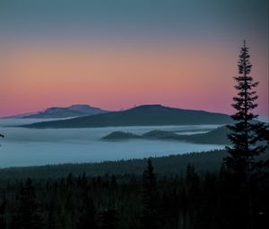 Превью обои дерево, озеро, холмы, силуэты, ночь