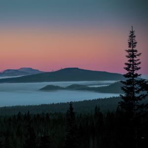 Превью обои дерево, озеро, холмы, силуэты, ночь