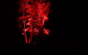 Превью обои дерево, подсветка, красный, темный