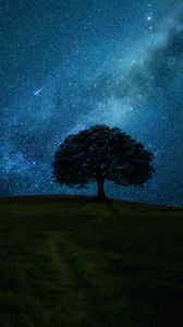 Превью обои дерево, поле, ночь, звезды, горизонт