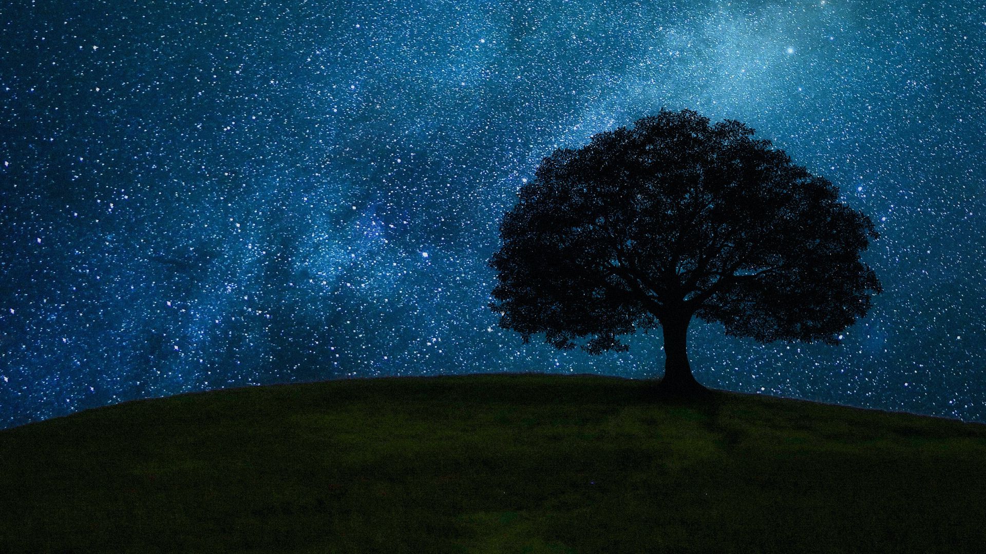 Поле дерево звезды