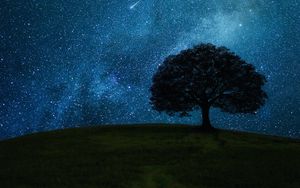 Превью обои дерево, поле, ночь, звезды, горизонт