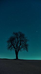 Превью обои дерево, поле, ночь, звездное небо, темный