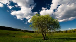 Превью обои дерево, поле, облака, небо, луг, трава
