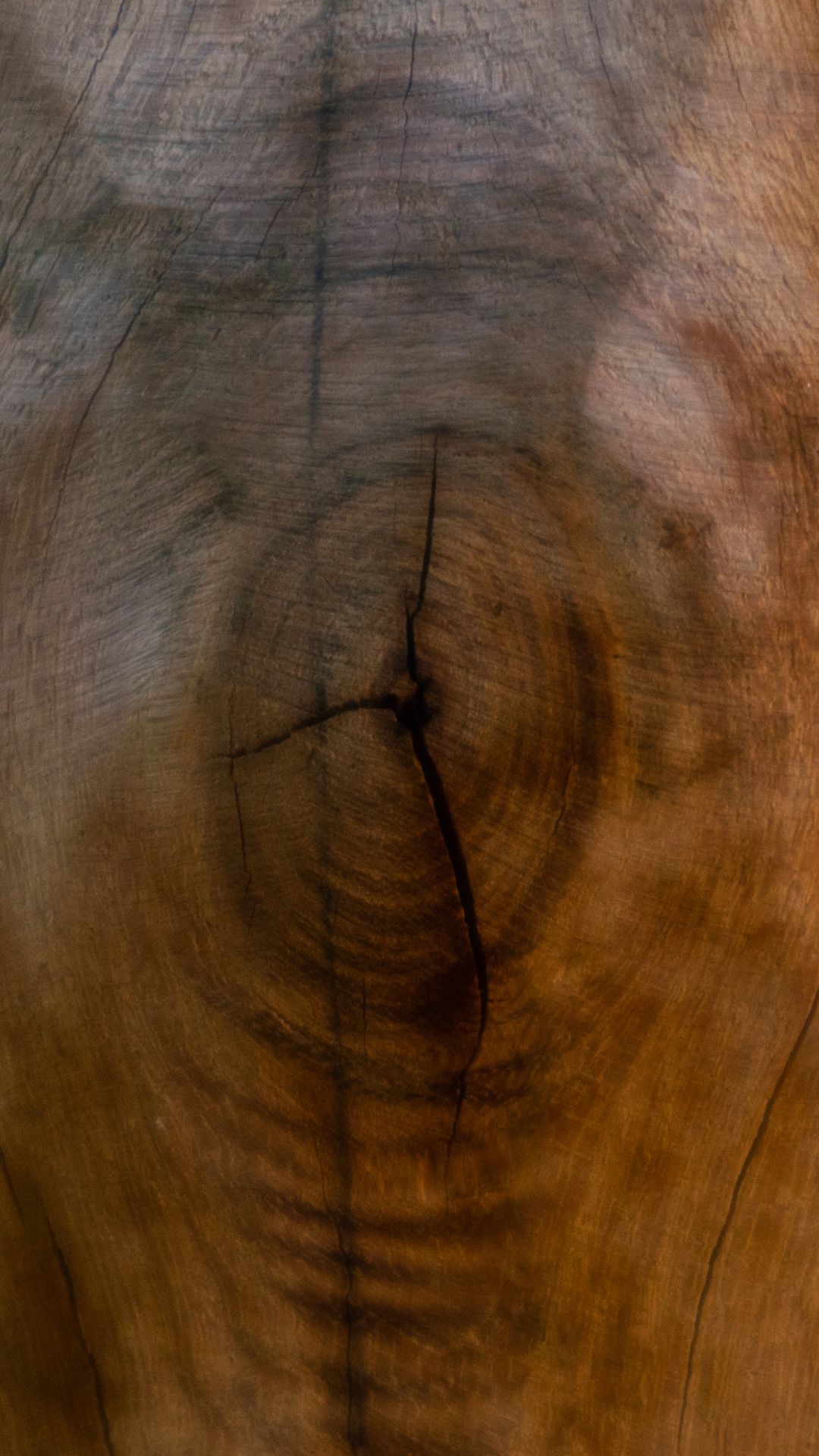 Пороки древесины трещины. Щель в дереве. Пороки древесины отлуп. Дерево поверхность.