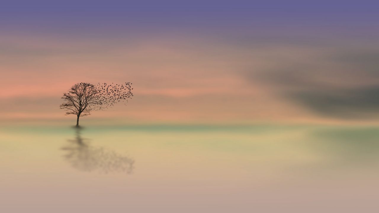 Обои дерево, рассвет, одинокий, горизонт, минимализм