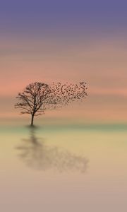 Превью обои дерево, рассвет, одинокий, горизонт, минимализм