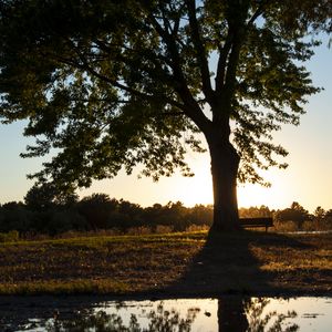 Превью обои дерево, река, отражение, скамейка, природа, пейзаж