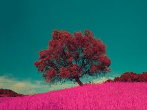 Превью обои дерево, розовый, фотошоп, трава, одинокий