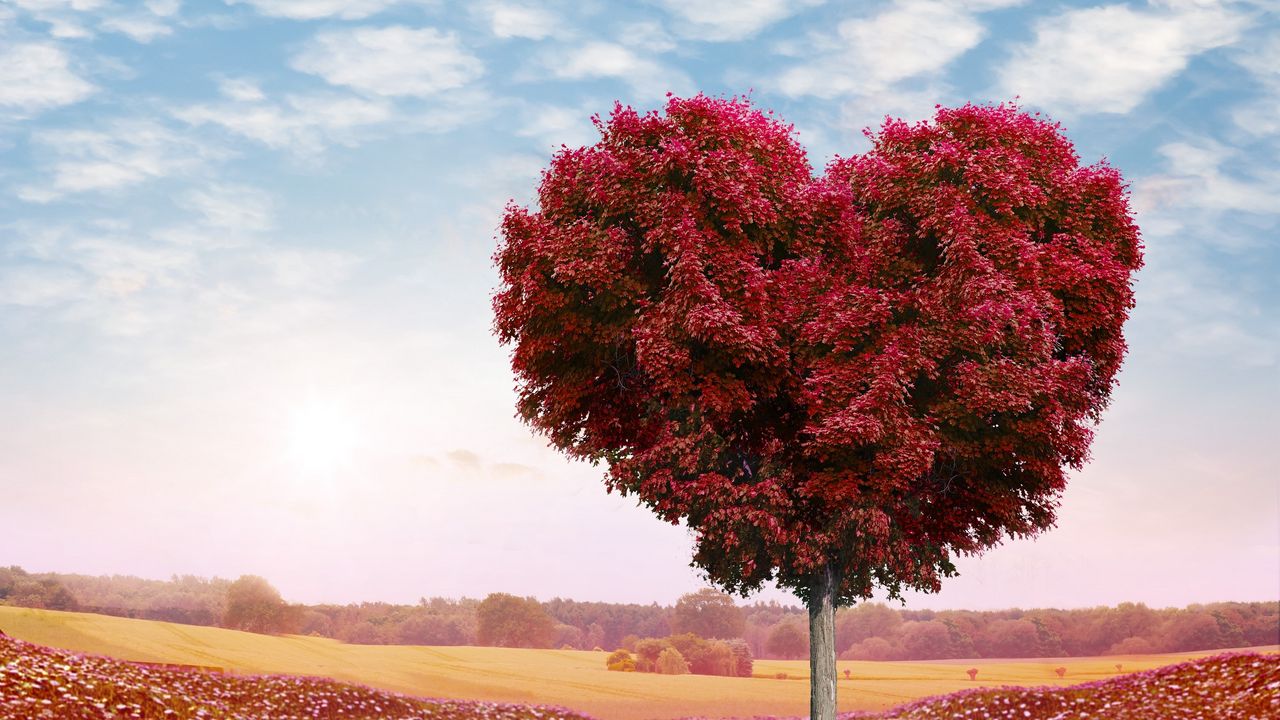 Обои дерево, сердце, фотошоп, листья