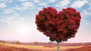 Превью обои дерево, сердце, фотошоп, листья