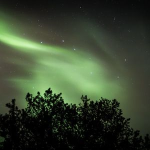 Превью обои дерево, северное сияние, звездное небо, ночь, темный