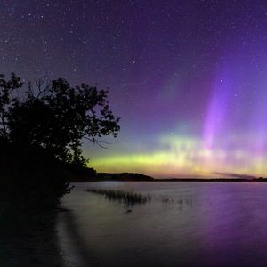 Превью обои дерево, силуэт, берег, море, северное сияние, темный